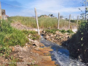 Pozzo san Valentino - L'acqua continua a finire nei campi