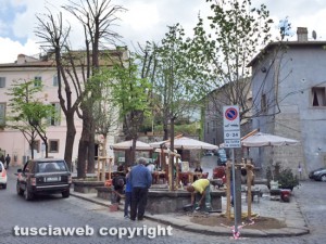Gli alberi piantati a piazza della Morte