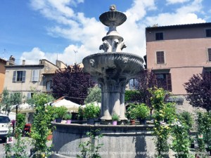 San Pellegrino in Fiore 2015 - Piazza del Gesù