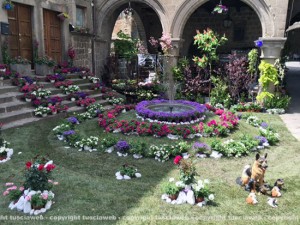 San Pellegrino in Fiore 2015 - Piazza San Pellegrino