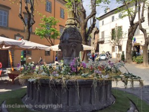 San Pellegrino in Fiore 2015 