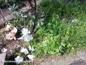Viterbo - Scale piene di rifiuti in via Manni