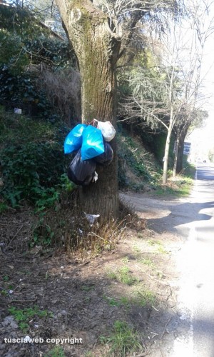 Viterbo - Rifiuti appesi a un albero