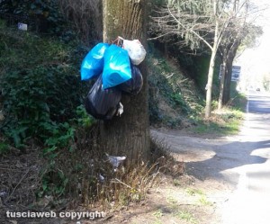 Viterbo - Rifiuti appesi a un albero