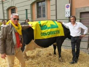 Coldiretti - La festa in piazza del Comune