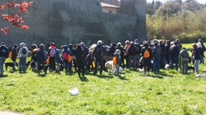 Viterbo - La Camminata a sei zampe
