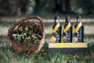 Premiato l'olio Tamia