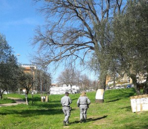 Viterbo -  Santa Barbara - Sopralluogo della Forestale al parco delle querce