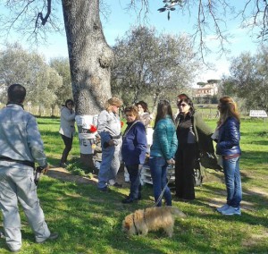 Viterbo -  Santa Barbara - Sopralluogo della Forestale al parco delle querce