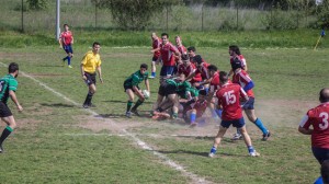 Union Viterbo - Emergenti Cecina