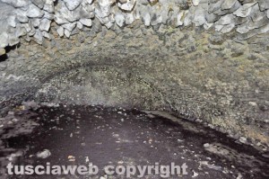 Viterbo - Casale del Quartuccio - Cantine d'epoca romana
