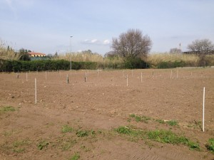 Consegnati gli appezzamenti per gli orti urbani 