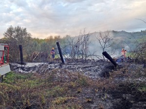 Incendio in un bosco
