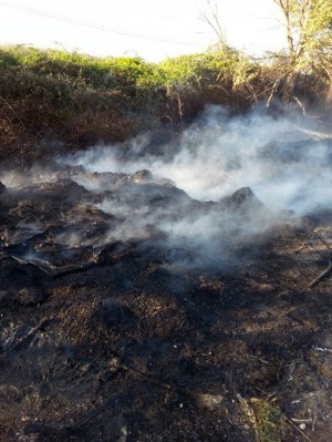 L'incendio a Montalto di Castro