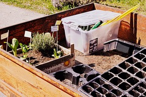 Confcooperative - Un orto "Con i piedi per terra"