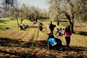 Confcooperative - Un orto "Con i piedi per terra"