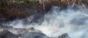 L'incendio a Montalto di Castro