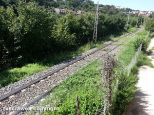 Vignanello - Erba alta vicino ai binari della stazione