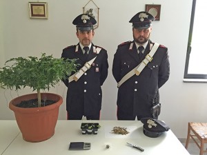 Caprarola - Carabinieri scoprono una piccola serra di marijuana