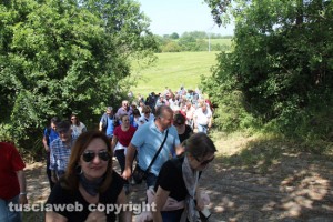 Anno degli etruschi - La passeggiata/racconto ad Acquarossa