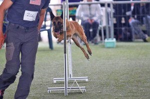 Miss durante la gara