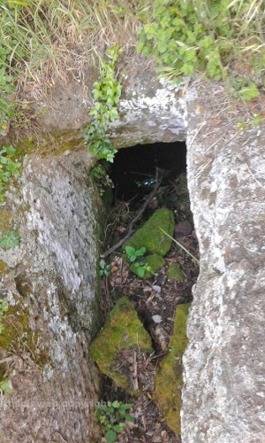 Viterbo - Erba alta nelle tombe di Castel d'Asso