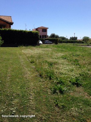Tuscania - Erba alta nel parco di via caduti di Nassiriya