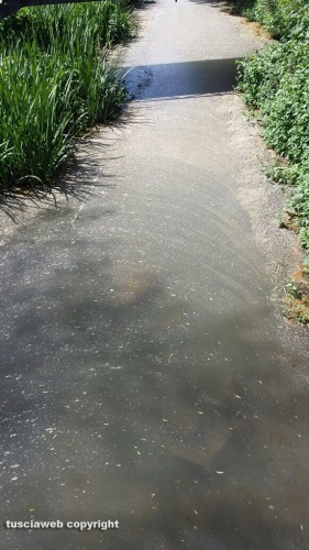 Montefiascone - L'acqua sporca del lago