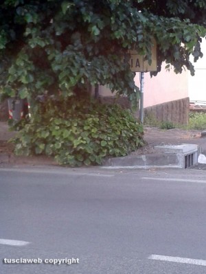 Bagnaia - Viale Fiume