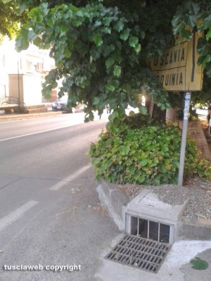Bagnaia - Viale Fiume