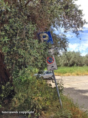 Tuscania - La segnaletica e il decoro