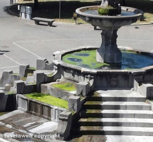 Viterbo - Piazza della Rocca - Fontana piena di melma e sporcizia