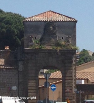 Viterbo - Erbacce su Porta Faul