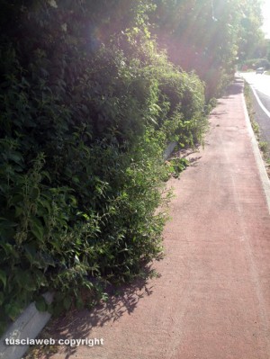 Viterbo - Pista ciclabile