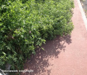 Viterbo - Pista pedonabile