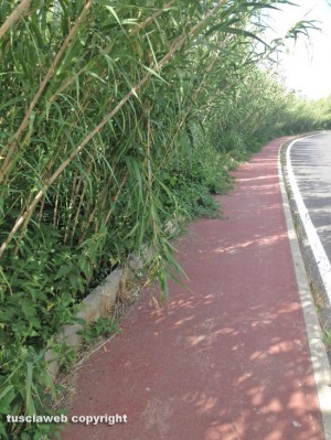 Viterbo - Pista ciclabile