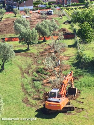 Viterbo - Santa Barbara - I lavori al Parco delle querce