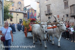 Viterbo - Santissimo Salvatore