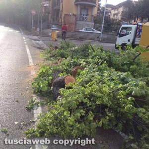 Viterbo - Incidente via santa Maria in gradi