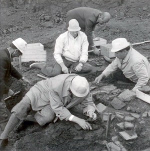 Gli scavi ad Acquarossa del re  di Svezia Gustavo VI Adolfo - Foto Jan Mark dal libro Kungen som Grävde