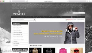 Il sito web michelinisindaco.eu