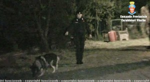 Viterbo - Carabinieri - Operazione Fai da te