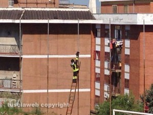 Viterbo - Il salvataggio del gattino al Murialdo