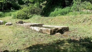 Alla riscoperta dei fontanili 