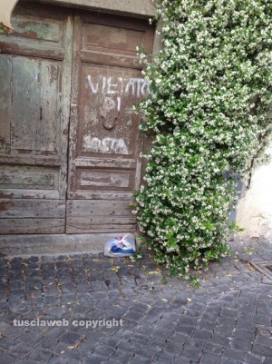 Viterbo - Il centro storico imbrattato