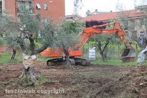 L'incontro pubblico al parco delle querce