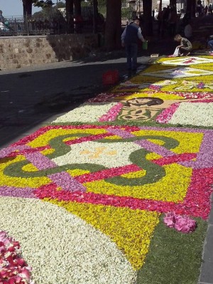 Lubriano - Infiorata della Madonna del Poggio