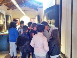 Acquapendente - Il museo per i piccoli
