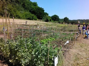 Civita Castellana - L'intitolazione degli orti urbani