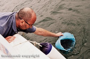 Ripopolamento del lago di Bolsena